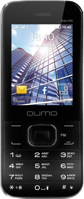 Кнопочный телефон QUMO Push 250 Dual