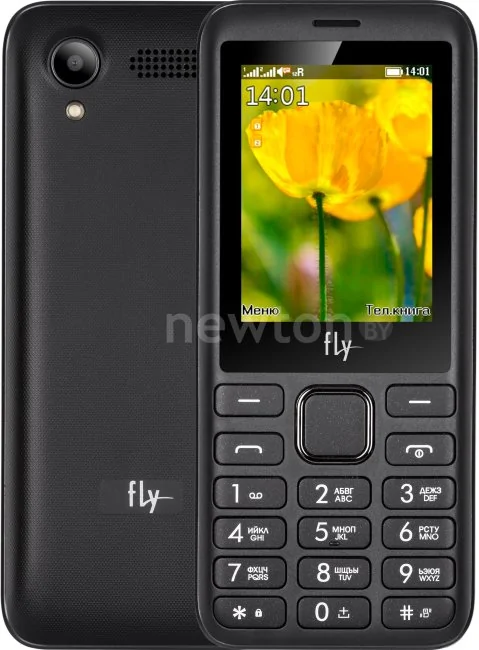 Кнопочный телефон Fly FF249 (черный)