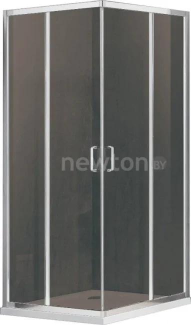 Душевой уголок Adema Glass Line Vierkant-100 (тонированное стекло)
