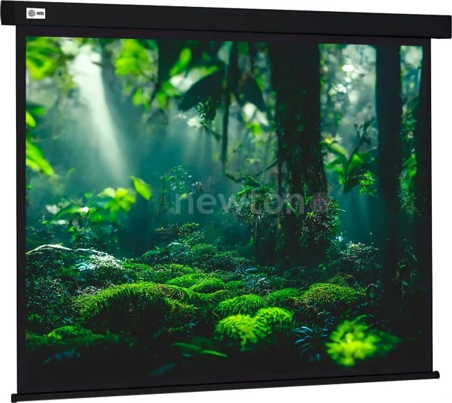 Проекционный экран CACTUS Wallscreen 213x213 CS-PSW-213X213-BK