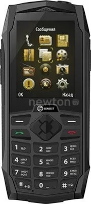 Кнопочный телефон Senseit P110 (черный)