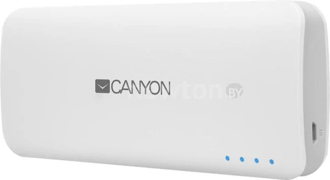 Портативное зарядное устройство Canyon CNE-CPB100
