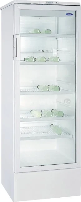 Торговый холодильник Бирюса 310E