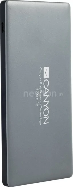 Портативное зарядное устройство Canyon CNS-TPBP5DG