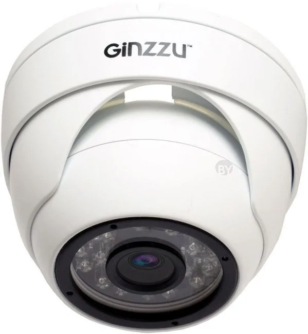 IP-камера Ginzzu HID-5301A