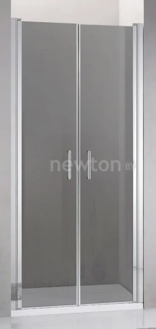 Душевая дверь Adema Nap Duo-80 (тонированное стекло)