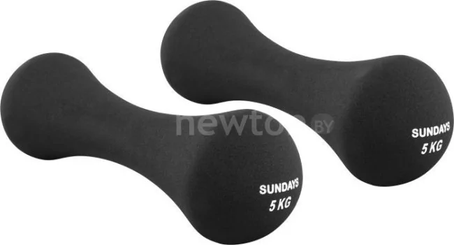 Набор гантелей Sundays Fitness IR92004-D 2x5 кг (черный)