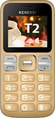 Кнопочный телефон Keneksi T2 Black Gold