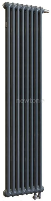 Стальной трубчатый радиатор Arbonia 2180/5 89 SF NIC C 006 (правый, нижнее подключение)