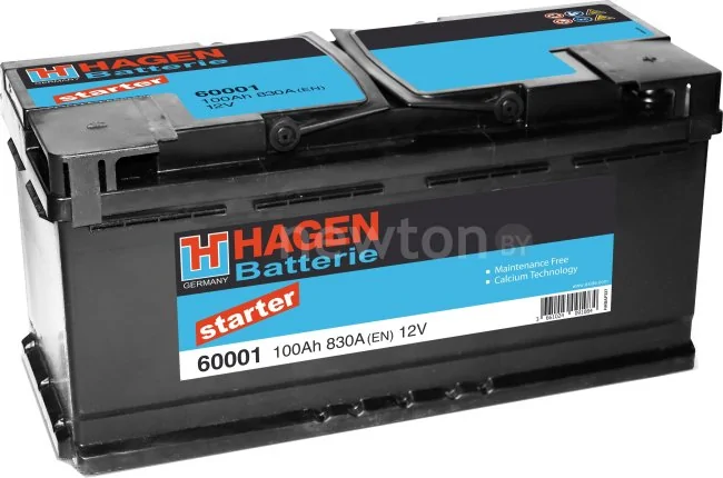 Автомобильный аккумулятор Hagen Starter 60001 (100 А·ч)
