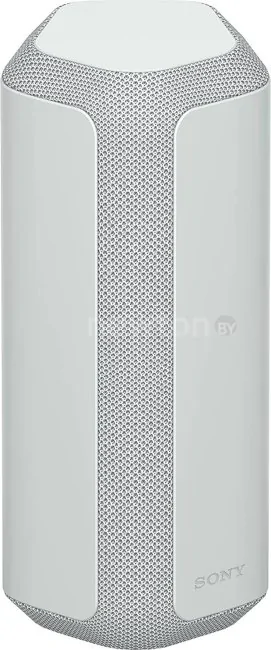 Беспроводная колонка Sony SRS-XE300 (серый)