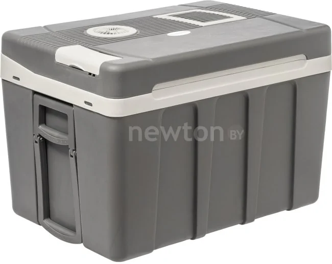 Термоэлектрический автохолодильник Sundays SN-50 50л (серый)