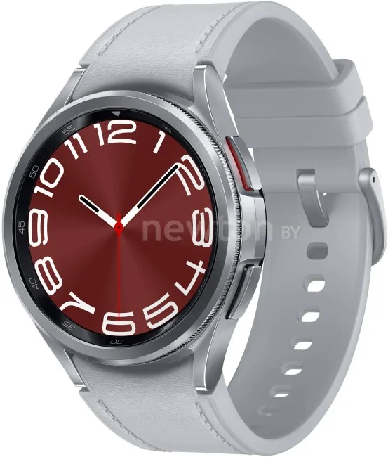 Умные часы Samsung Galaxy Watch6 Classic 43 мм LTE (серебристый)
