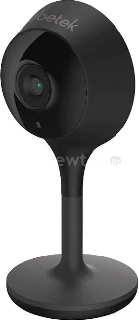 IP-камера Rubetek RV-3419 (черный)
