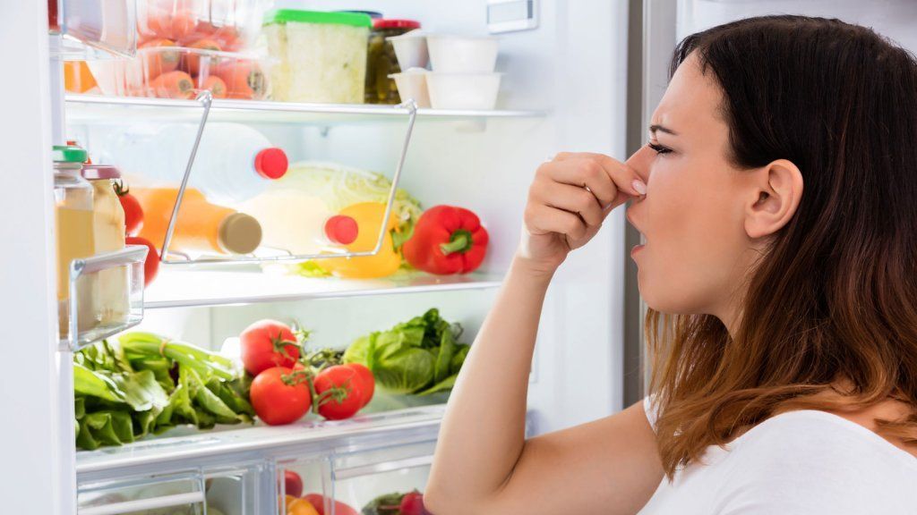 Как убрать запах из холодильника