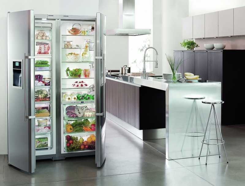 Холодильник с двумя распашными дверцами в интерьере