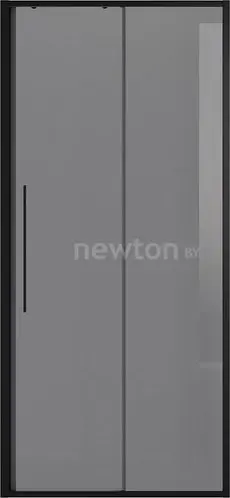 Душевая дверь Niagara NG-85-9TB 90x195 (черный матовый/тонированное стекло)
