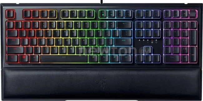 Клавиатура Razer Ornata V2