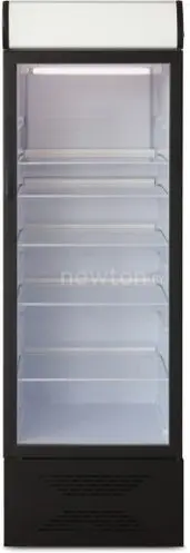 Торговый холодильник Бирюса B310P