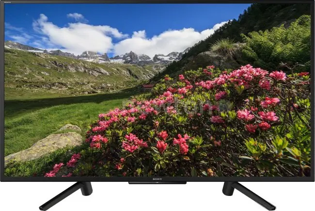 Телевизор Sony KDL-43RF453