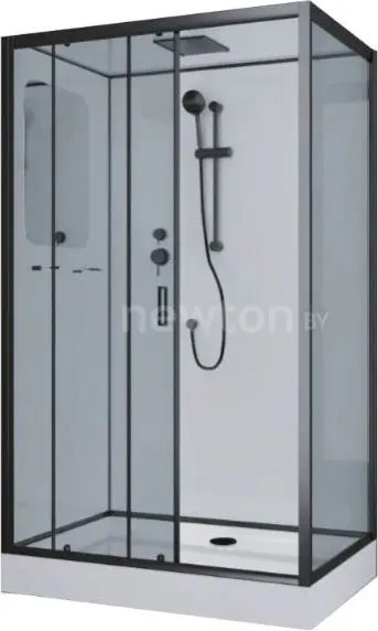 Душевая кабина Niagara NG-6912-01QL Black 120x80x210 (тонированное стекло)