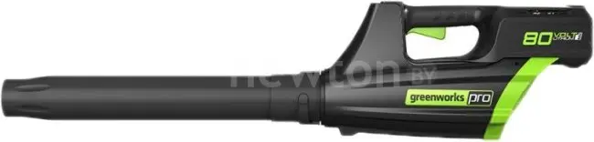 Воздуходувка Greenworks GD80BL [2400407]