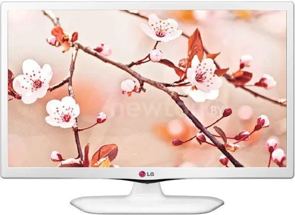 Телевизор LG 22MT45V