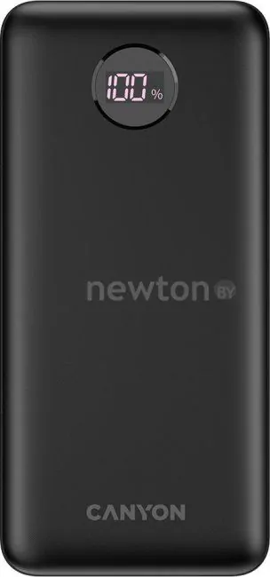 Внешний аккумулятор Canyon PB-2002 20000mAh (черный)