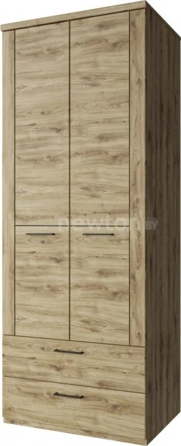 Шкаф распашной Anrex Doorset 2DG2S (дуб наварра)