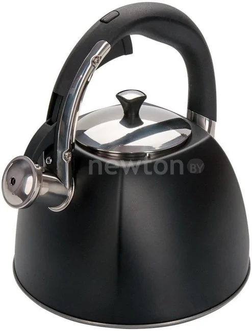 Чайник со свистком Regent Inox Tea 93-TEA-31