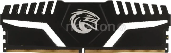 Оперативная память KingSpec Storm 8ГБ DDR5 4800 МГц KS4800D5M11016G