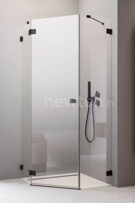 Душевая стенка Radaway Essenza Pro Black PTJ 100Zx100S