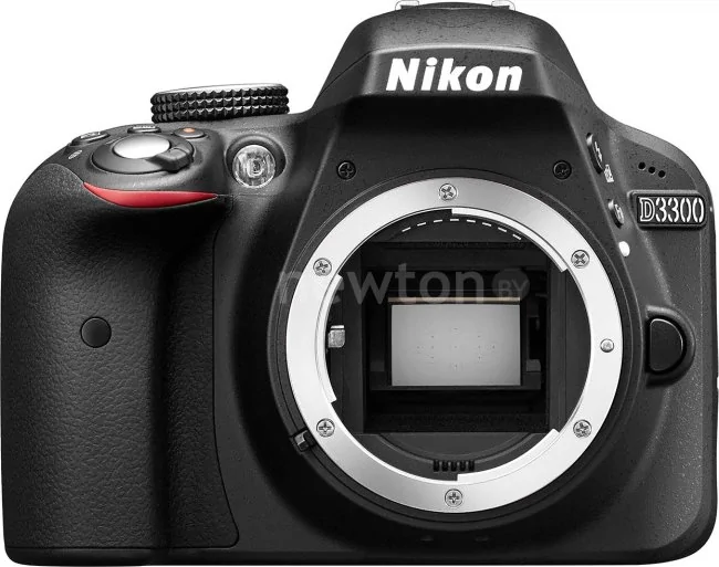 Зеркальный фотоаппарат Nikon D3300 Body