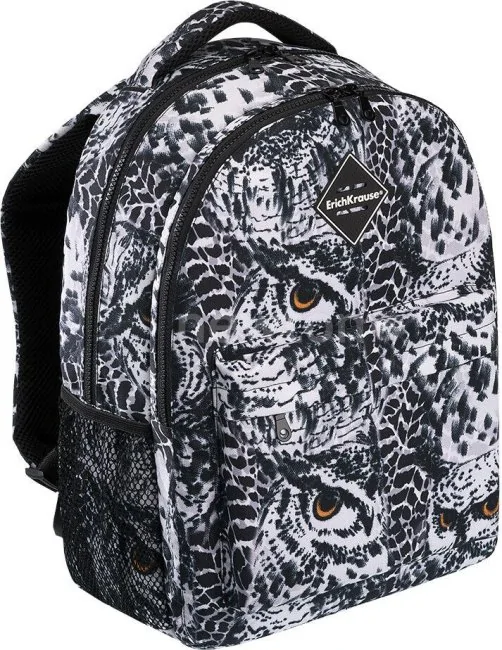 Школьный рюкзак Erich Krause EasyLine 20L Night Owl
