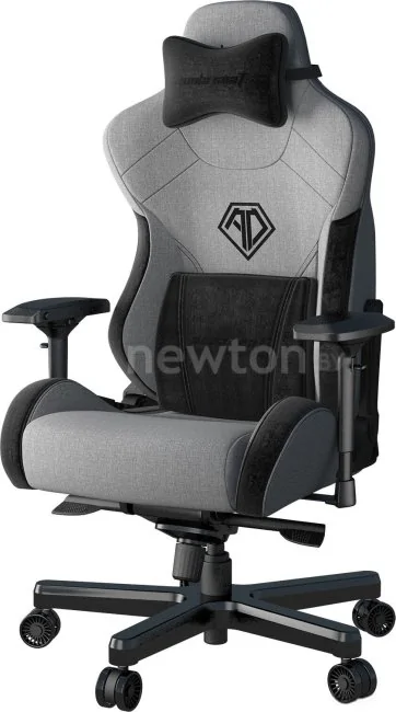 Кресло AndaSeat T-Pro 2 (серый/черный)