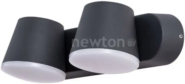 Уличный настенный светильник Arte Lamp Chico A2212AL-2BK