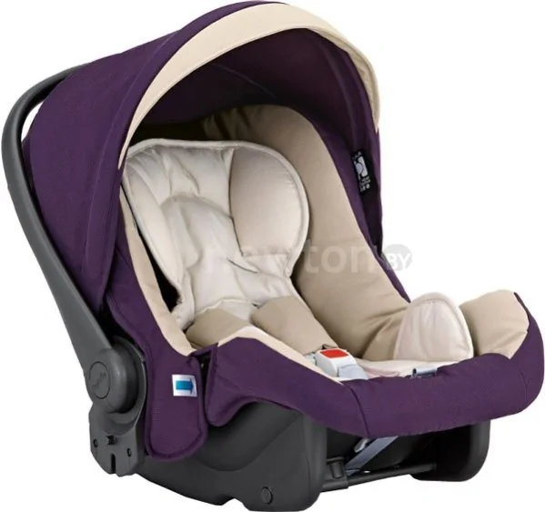 Детское автокресло Inglesina Huggy Multifix