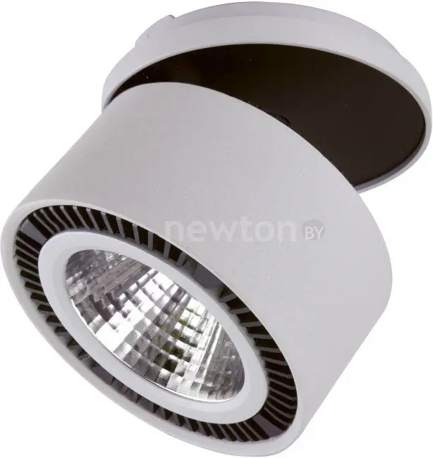Точечный светильник Lightstar Forte inca 214829