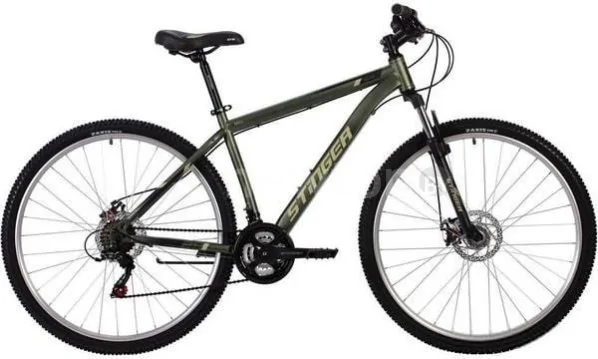Велосипед Stinger Caiman Disc 29 р.22 2020 (зеленый)