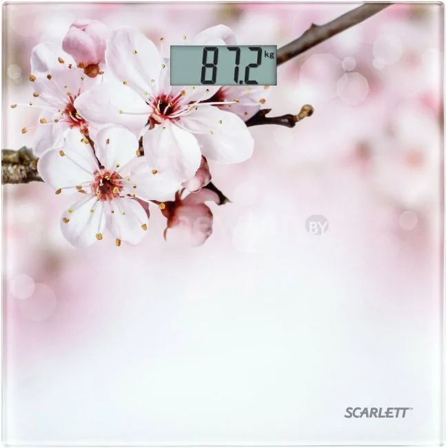 Напольные весы Scarlett SC-BS33E053