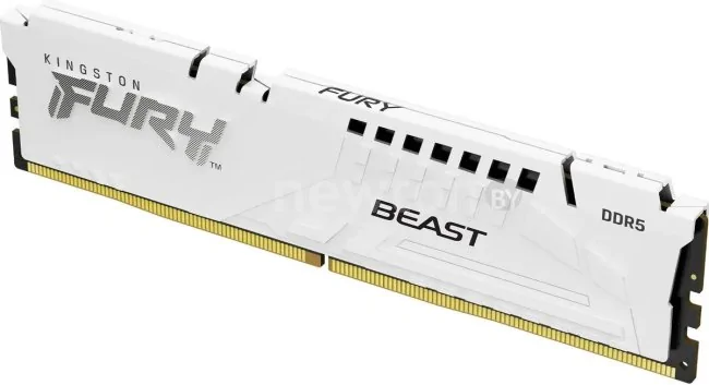 Оперативная память Kingston FURY Beast 16ГБ DDR5 6800 МГц KF568C34BWE-16