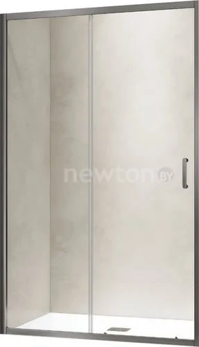 Душевая дверь RGW PA-114Gr 030811416-110