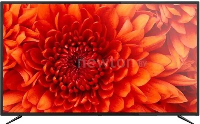 Телевизор Erisson 55ULX9020T2