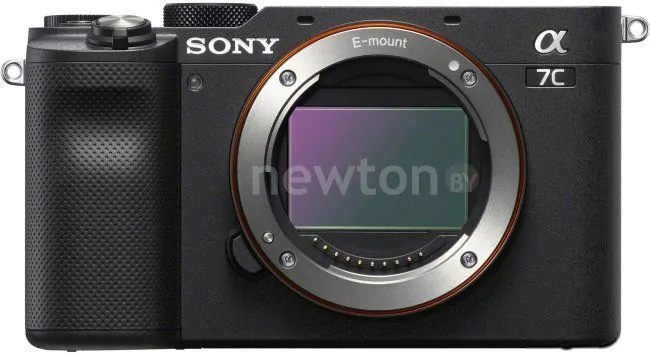 Беззеркальный фотоаппарат Sony Alpha a7C Body (черный)