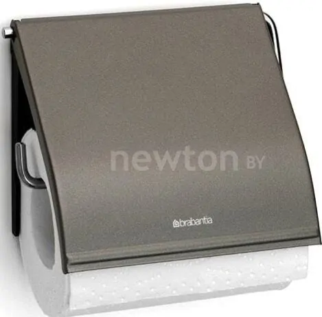 Держатель для туалетной бумаги Brabantia ReNew 477300 (платиновый)