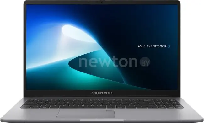 Ноутбук ASUS ExpertBook P1 P1503CVA-i38256G0D + 8 ГБ