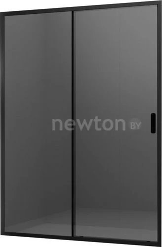 Душевая дверь Ambassador Forsa 100x200 17022216ABB