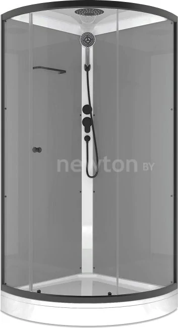 Душевая кабина Domani-Spa Simple 100x100 DS01Sm110LGrCl00.Gt-V1.2-Black