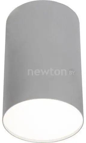 Точечный светильник Nowodvorski Point plexi led silver L [6531]