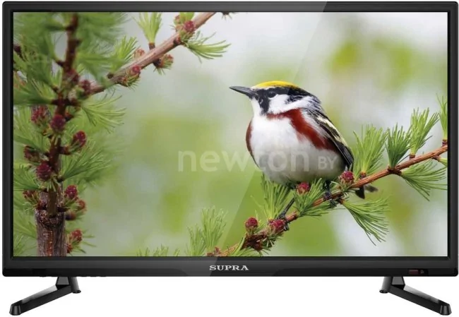 Телевизор Supra STV-LC24T740FL